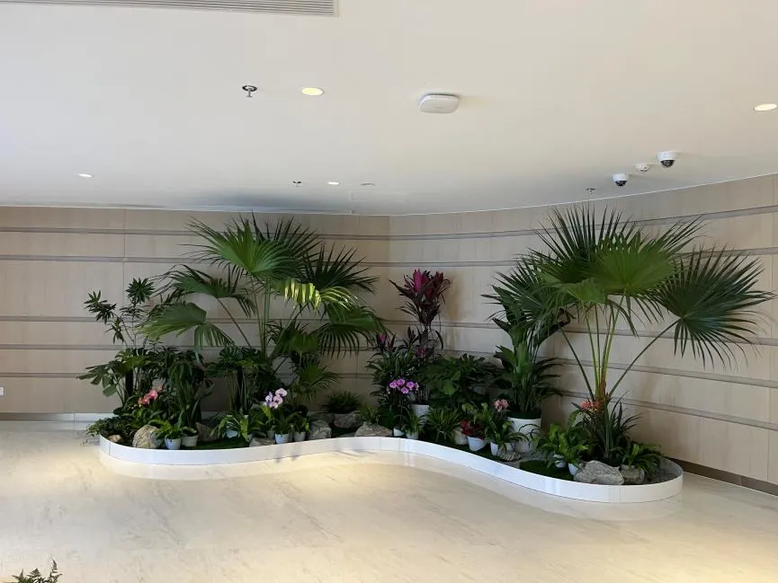 想低价租绿植？余姚这里价格实惠到超乎想象！