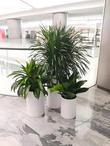 宁波奉化花卉租摆哪家靠谱？看这篇攻略就知道！